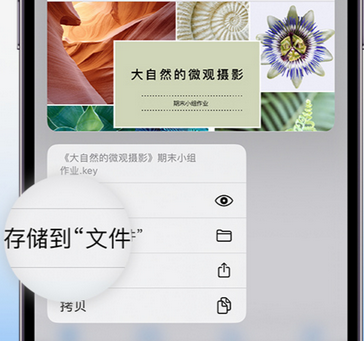 北塔apple维修中心分享iPhone文件应用中存储和找到下载文件