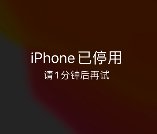 北塔苹果手机维修分享:iPhone 显示“不可用”或“已停用”怎么办？还能保留数据吗？ 