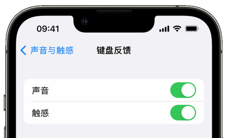 北塔苹果手机维修分享iPhone 14触感键盘使用方法 