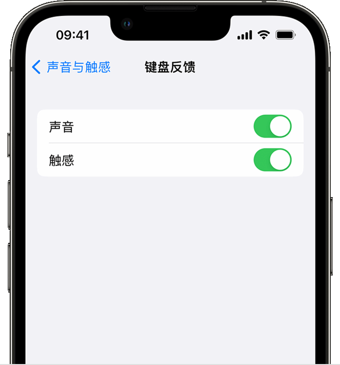 北塔苹果14维修店分享如何在 iPhone 14 机型中使用触感键盘 