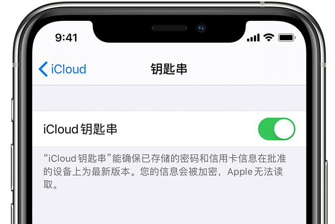 北塔苹果手机维修分享在 iPhone 上开启 iCloud 钥匙串之后会储存哪些信息 